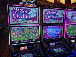 Cambodia Pools draw results and payout display on gemilang77 login